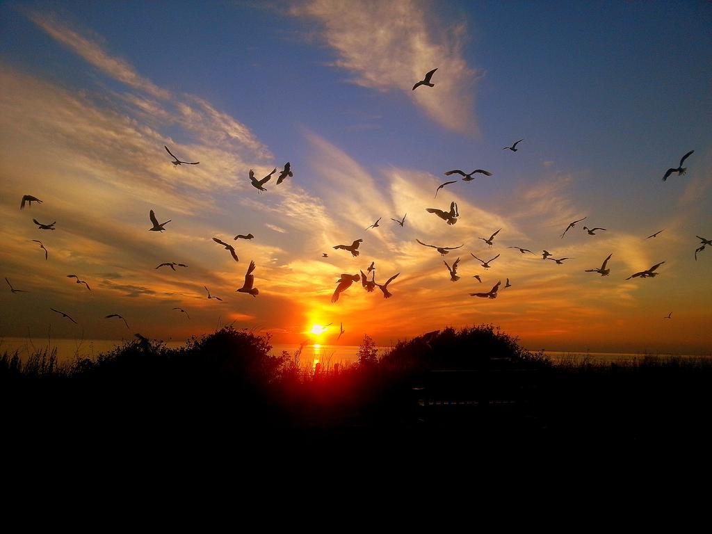 Sunset Guest House Hunstanton Dış mekan fotoğraf Sunset at the beach
