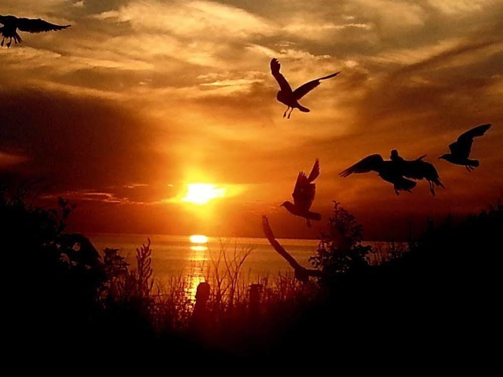 Sunset Guest House Hunstanton Dış mekan fotoğraf Sunset at the beach